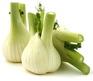 Fenchel_Gemuese_300x260.jpg