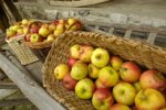 Äpfel (Quelle: BMLFUW/Rita Newman)